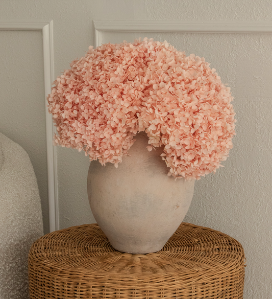 Real Hydrangea Preserved - Large Pink