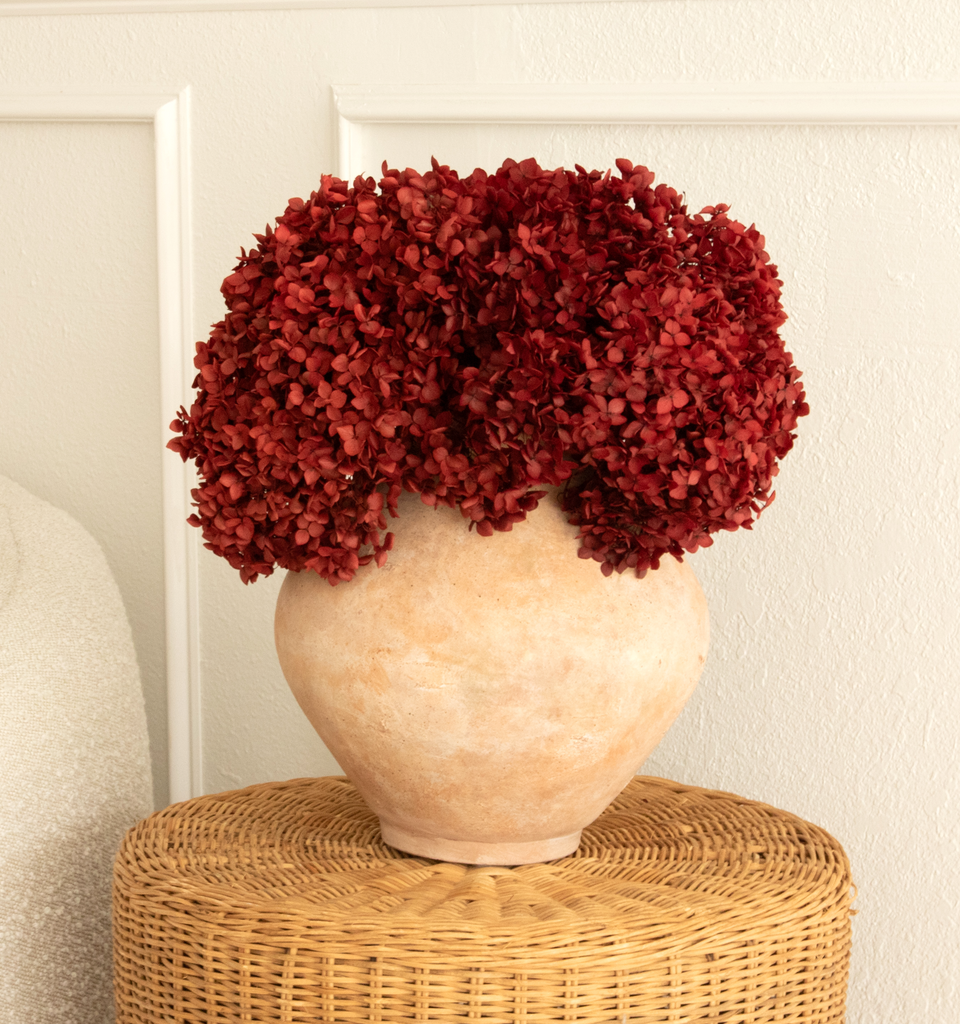 Real Hydrangea Preserved - Large Deep Red