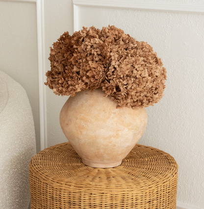Real Hydrangea Preserved - Large Desert Brown/Mauve
