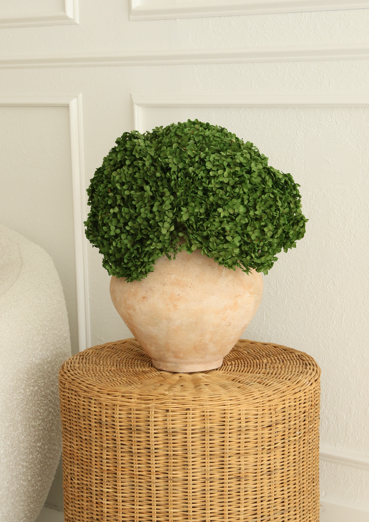 Real Hydrangea Preserved- Medium/Large Emerald Green