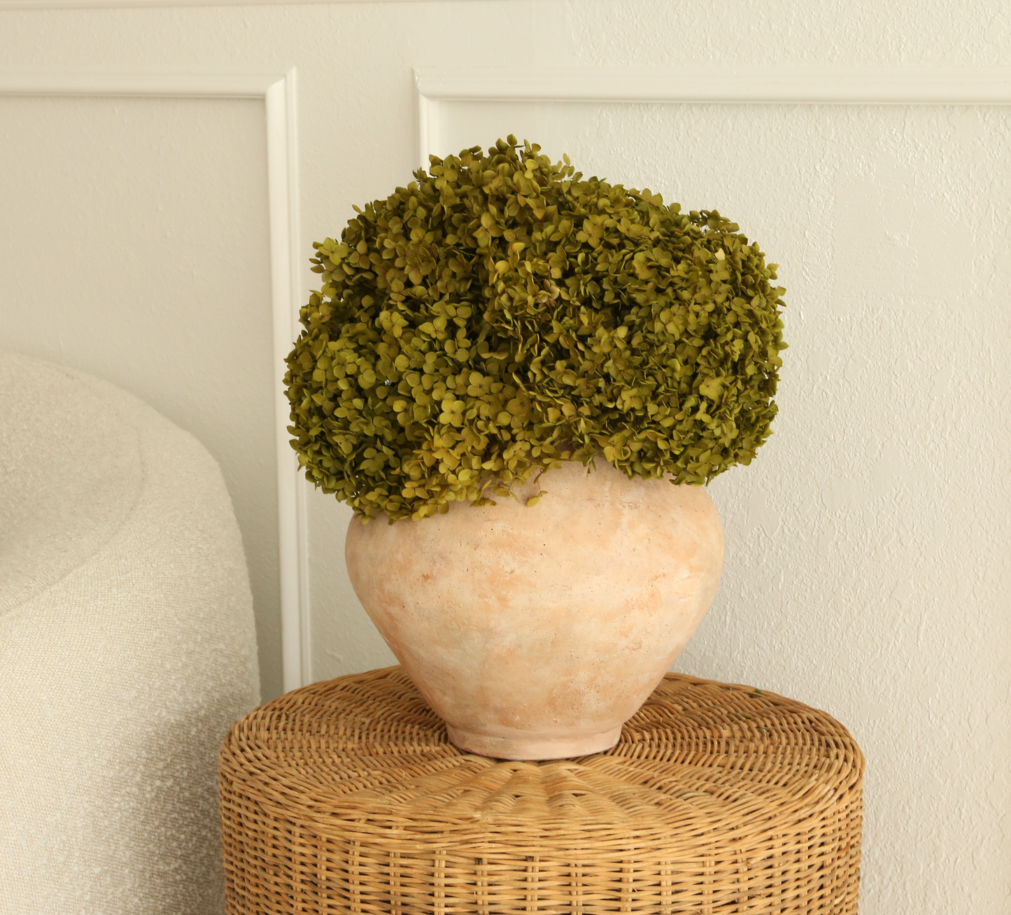 Real Hydrangea Preserved - Medium/Large Chartreuse Green