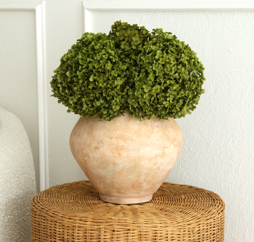 Real Hydrangea Preserved- Medium/Large Green - alternate