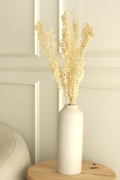 Dried and Preserved Ivory Ruscus