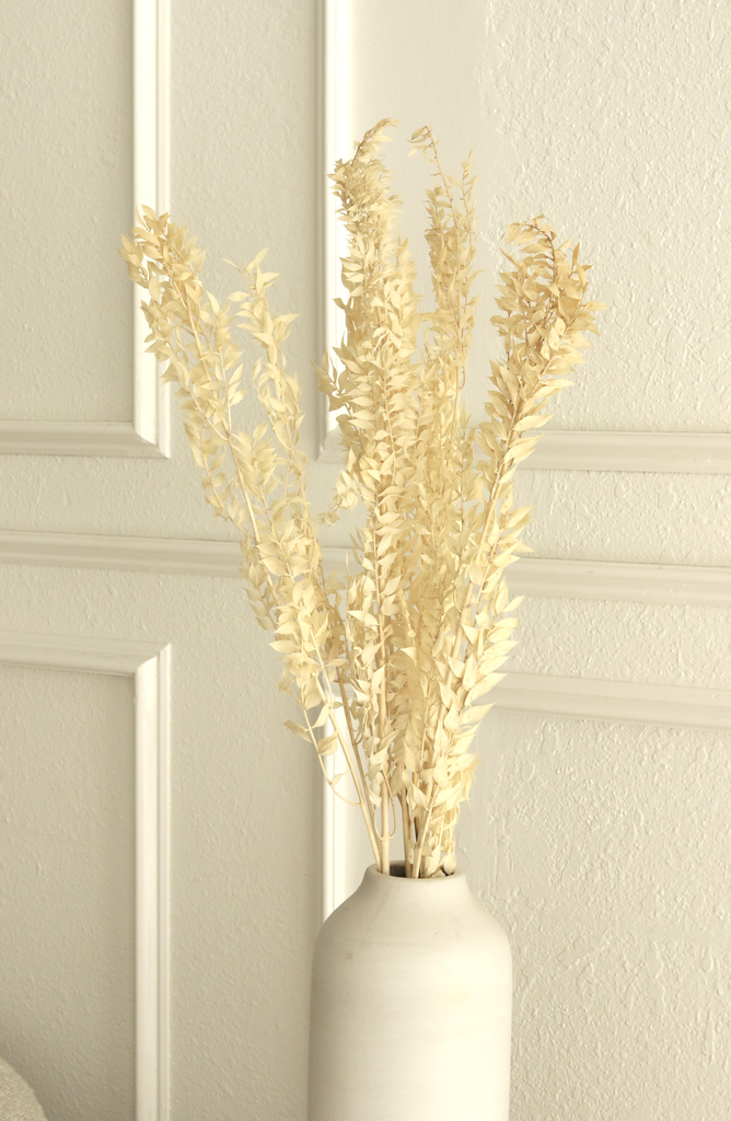 Dried and Preserved Ivory Ruscus