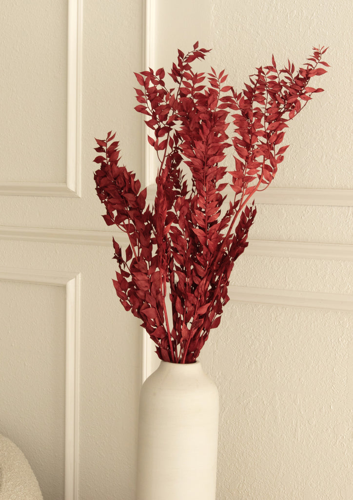 Dried and Preserved Berry Wine Ruscus