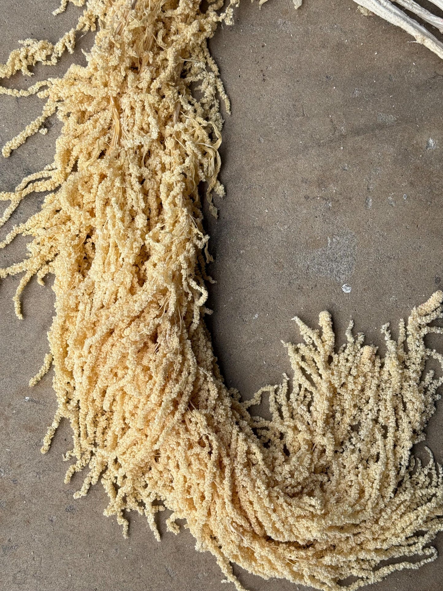 Hanging Amaranthus - Yellow