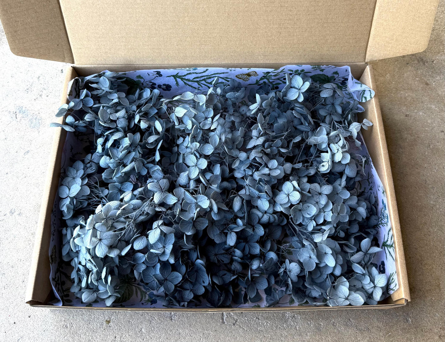 Real Preserved Hydrangea - Loose Petals