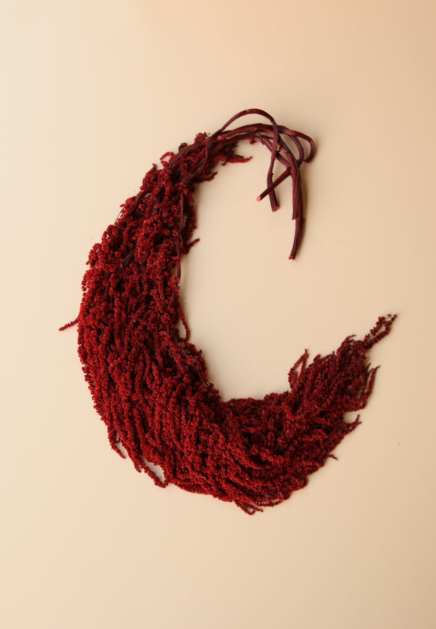 Hanging Amaranthus - Brick/Deep Red