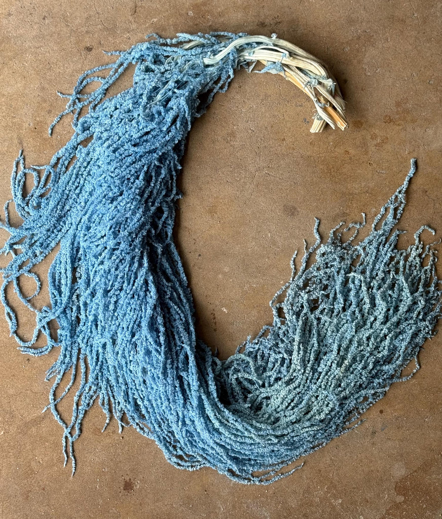 Hanging Amaranthus - Light/Bright Blue (one bundle of 5 stems)