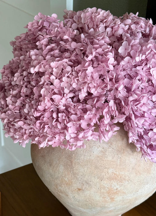 Real Hydrangea Preserved - Large Pink Lavender - alternate