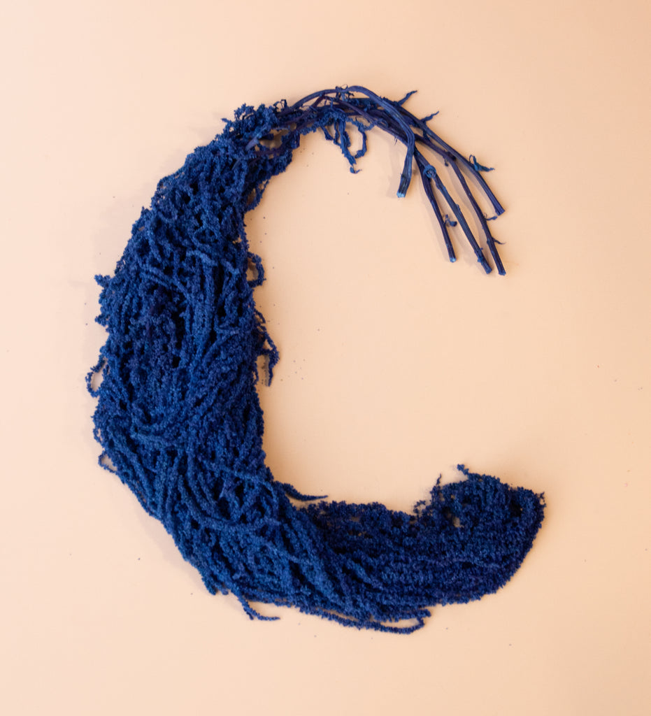 Hanging Amaranthus - Cobalt Blue