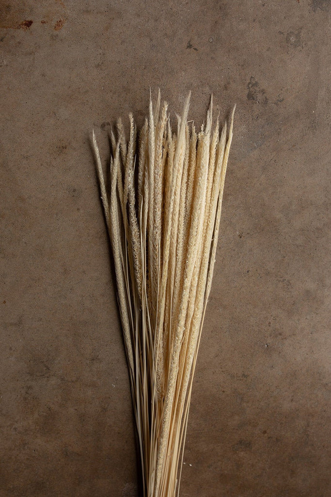 Kirin Grass - Ivory