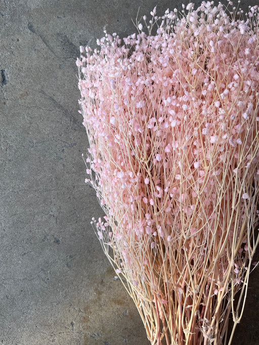 Light Pink Preserved Baby's Breath - alternate