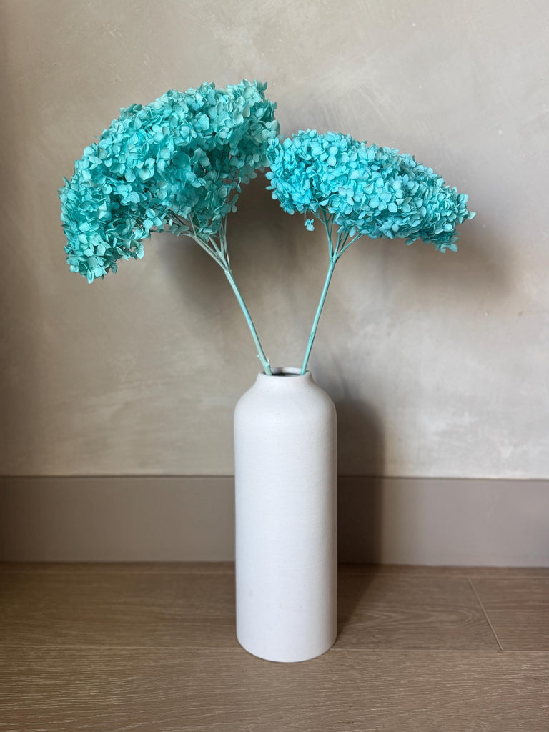 Real Hydrangea Preserved - Large Bright Blue