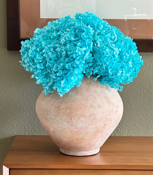 Real Hydrangea Preserved - Large Bright Blue - alternate