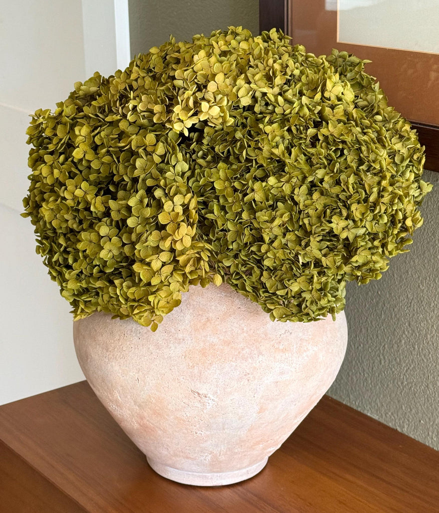 Real Hydrangea Preserved - Medium/Large Chartreuse Green