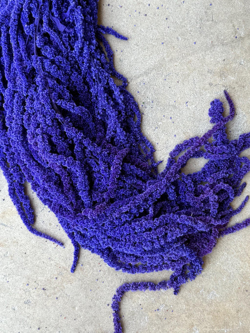 Hanging Amaranthus - Purple Tanzanite - alternate