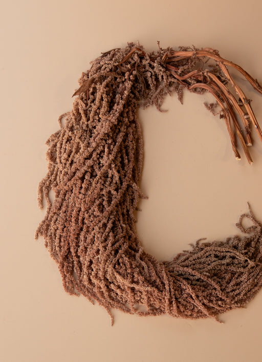 Hanging Amaranthus - Desert Brown - alternate