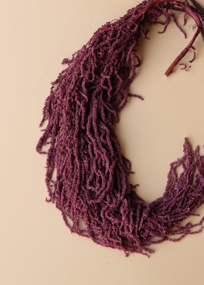 Hanging Amaranthus - Purple Plum