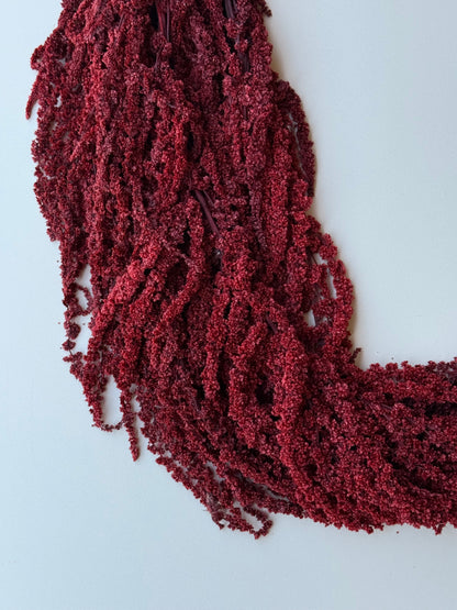 Hanging Amaranthus - Brick Red