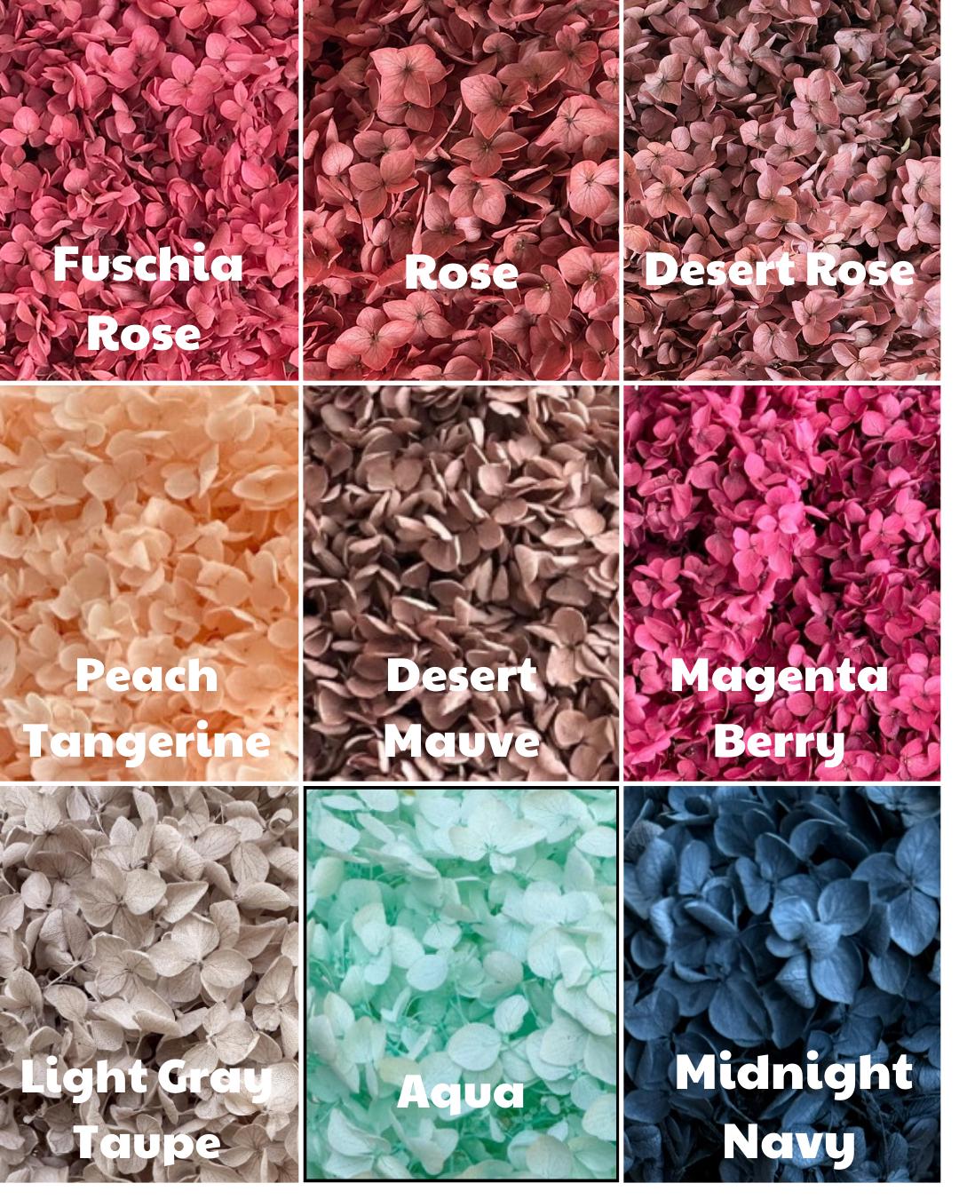 Real Preserved Hydrangea - Loose Petals