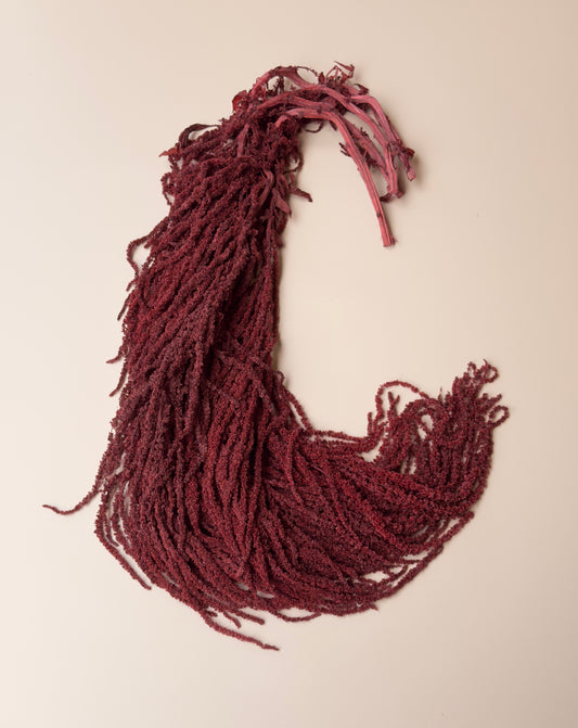 Hanging Amaranthus - Burgundy Red Wine