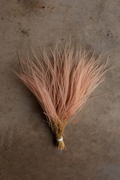 Feather Grass - Pink