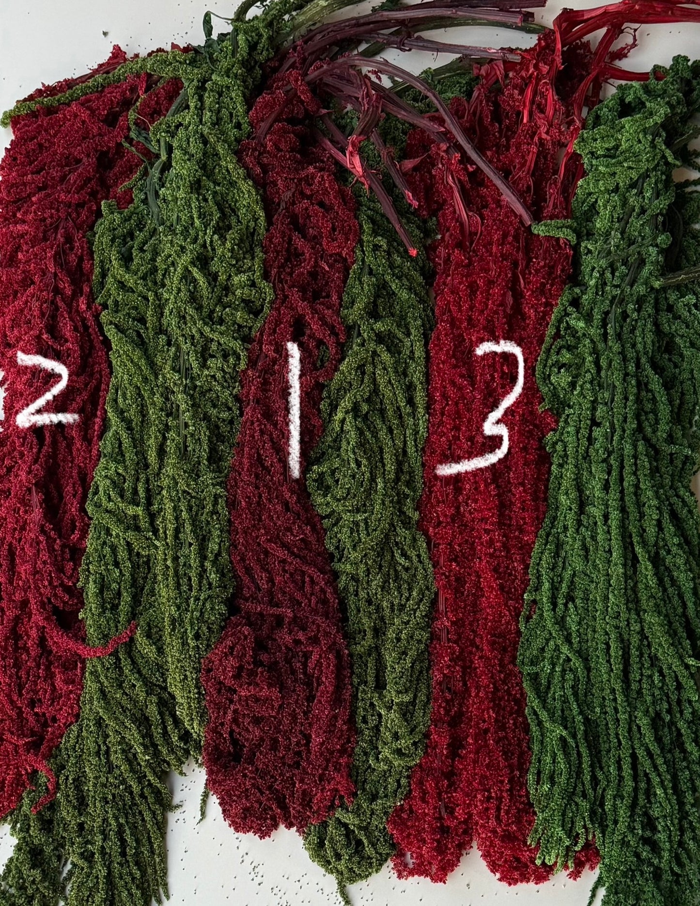 Hanging Amaranthus - Deep Red