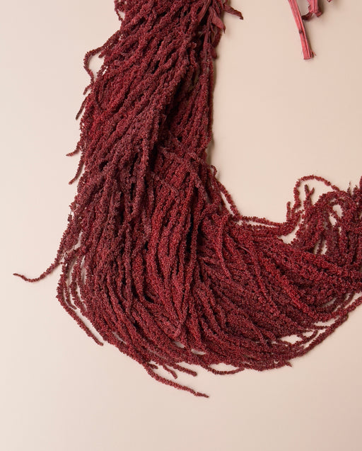 Hanging Amaranthus - Burgundy Red Wine - alternate