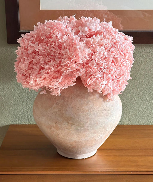Real Hydrangea Preserved - Large Pink - alternate