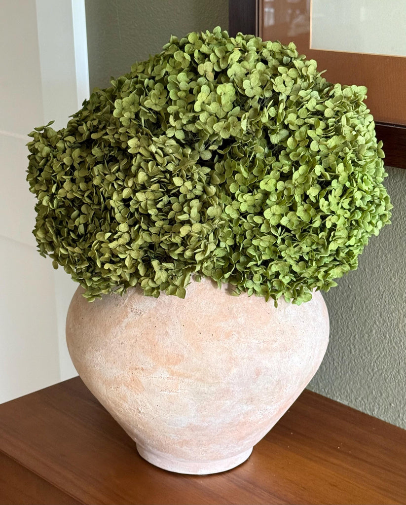 Real Hydrangea Preserved- Medium/Large Spring Green
