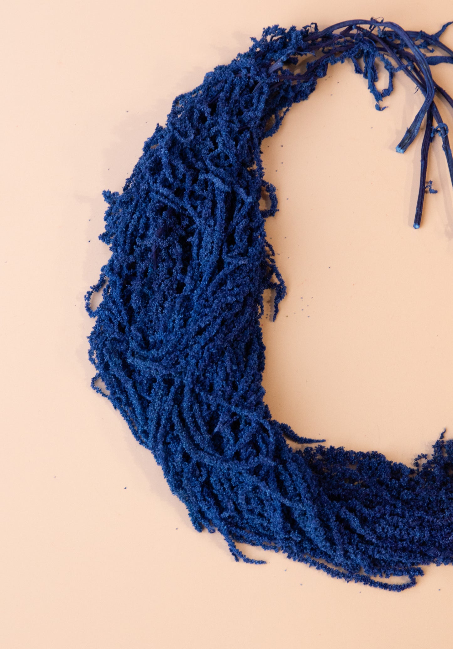 Hanging Amaranthus - Cobalt Blue
