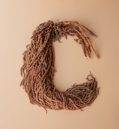 Hanging Amaranthus - Desert Brown