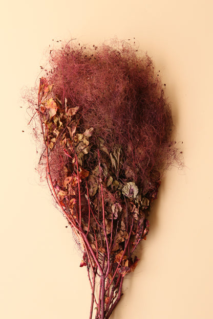 Preserved Smoke Bush - Plum Blend