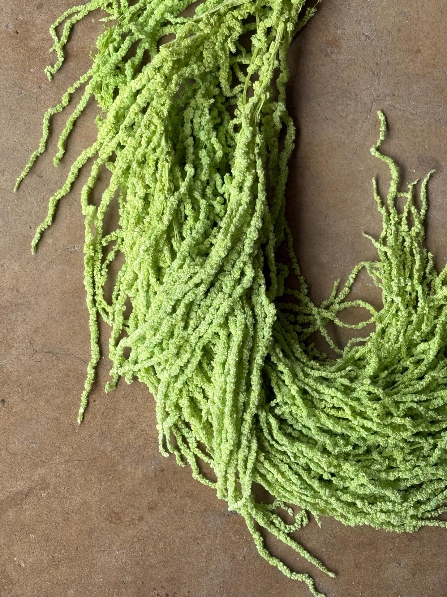 Hanging Amaranthus - Light Green