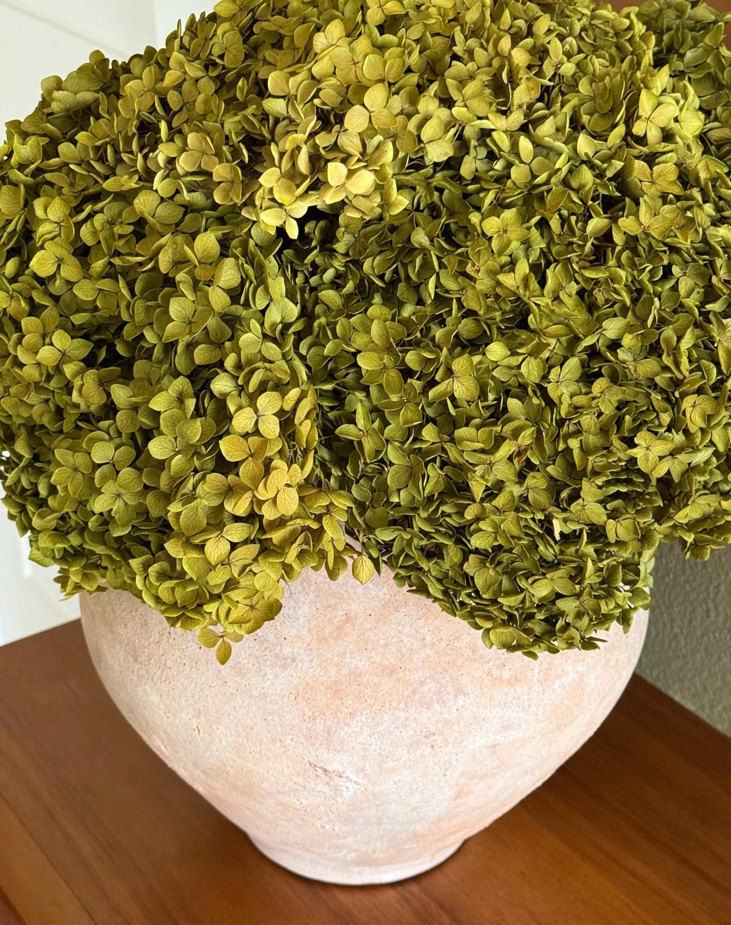 Real Hydrangea Preserved - Medium/Large Chartreuse Green