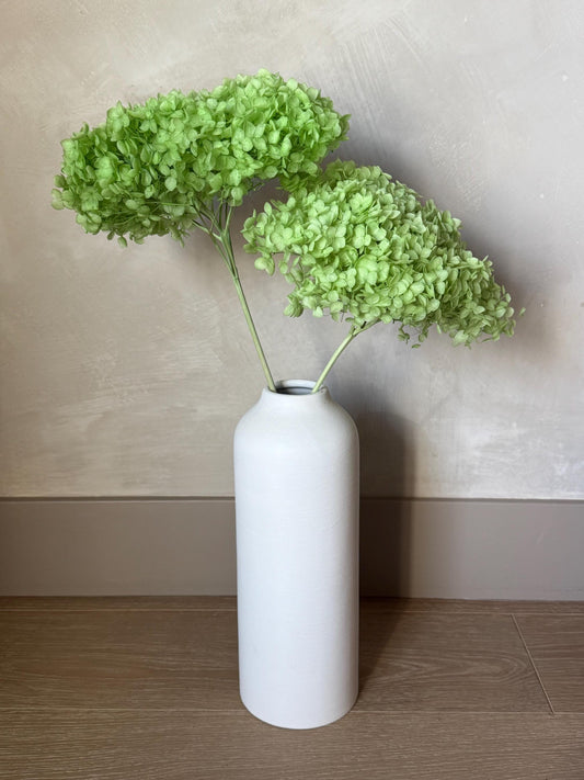 Real Hydrangea Preserved - Large Green