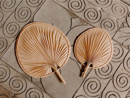 Decorative Palms
