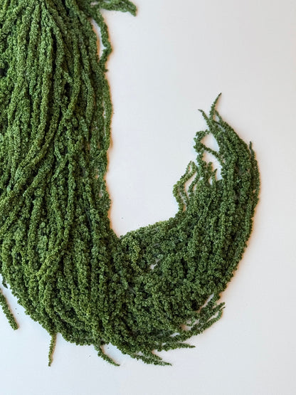 Hanging Amaranthus - Forest Green