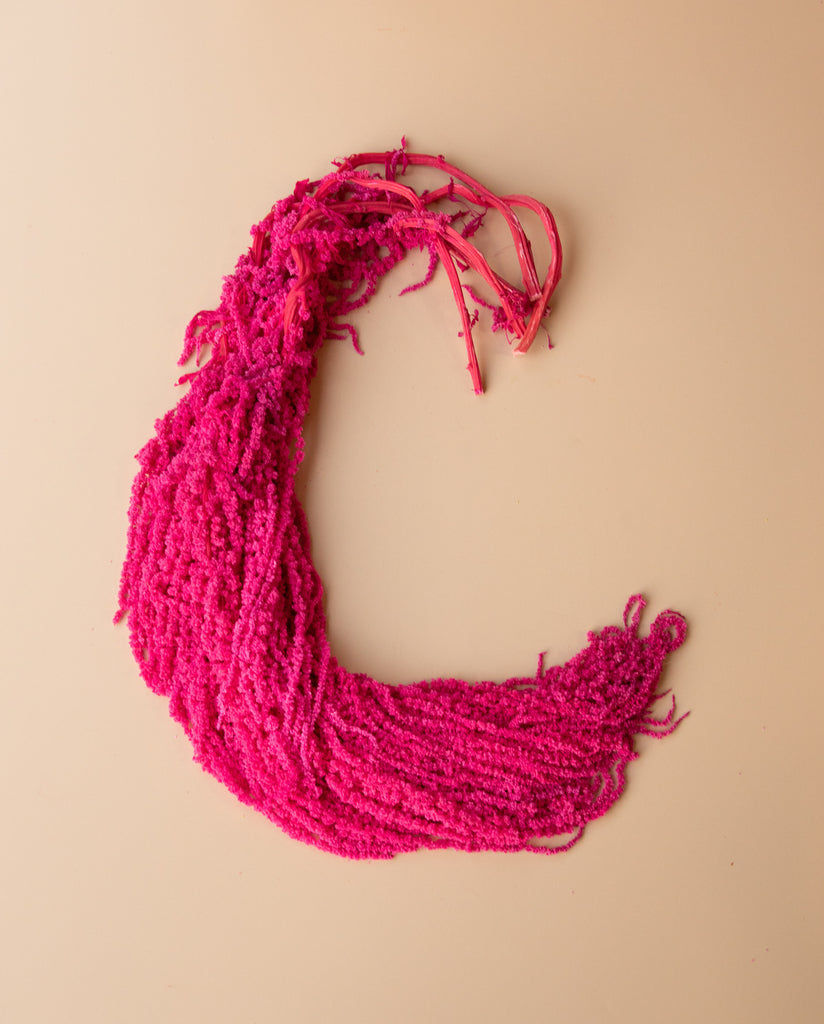 Hanging Amaranthus - Valentine's Day Bright Pink Magenta