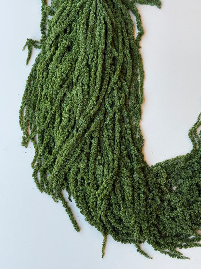 Hanging Amaranthus - Forest Green