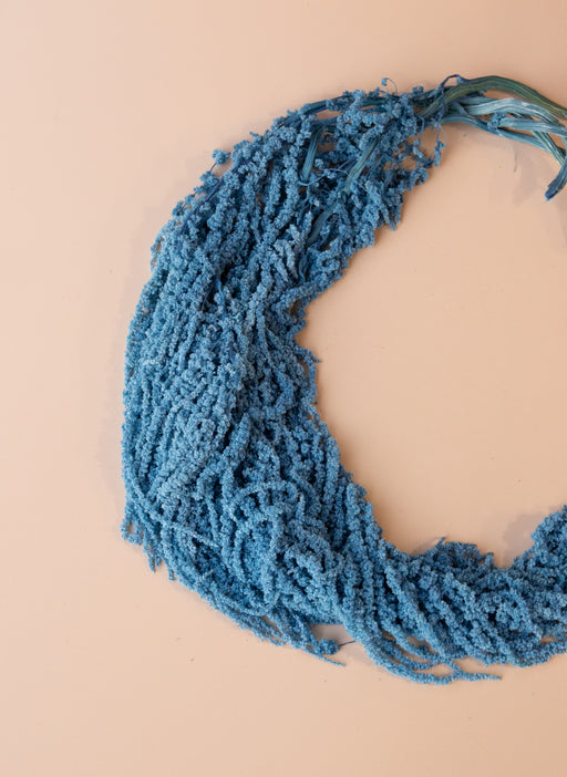 Hanging Amaranthus - Blue - alternate