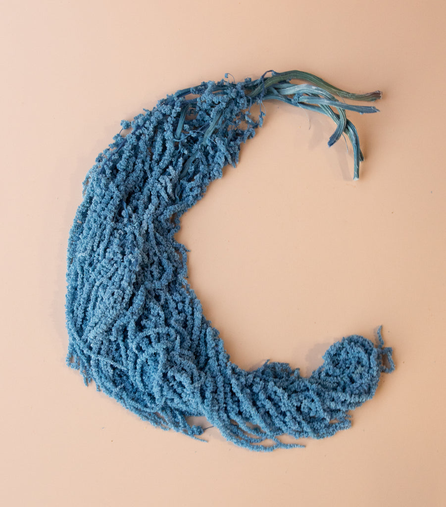 Hanging Amaranthus - Blue