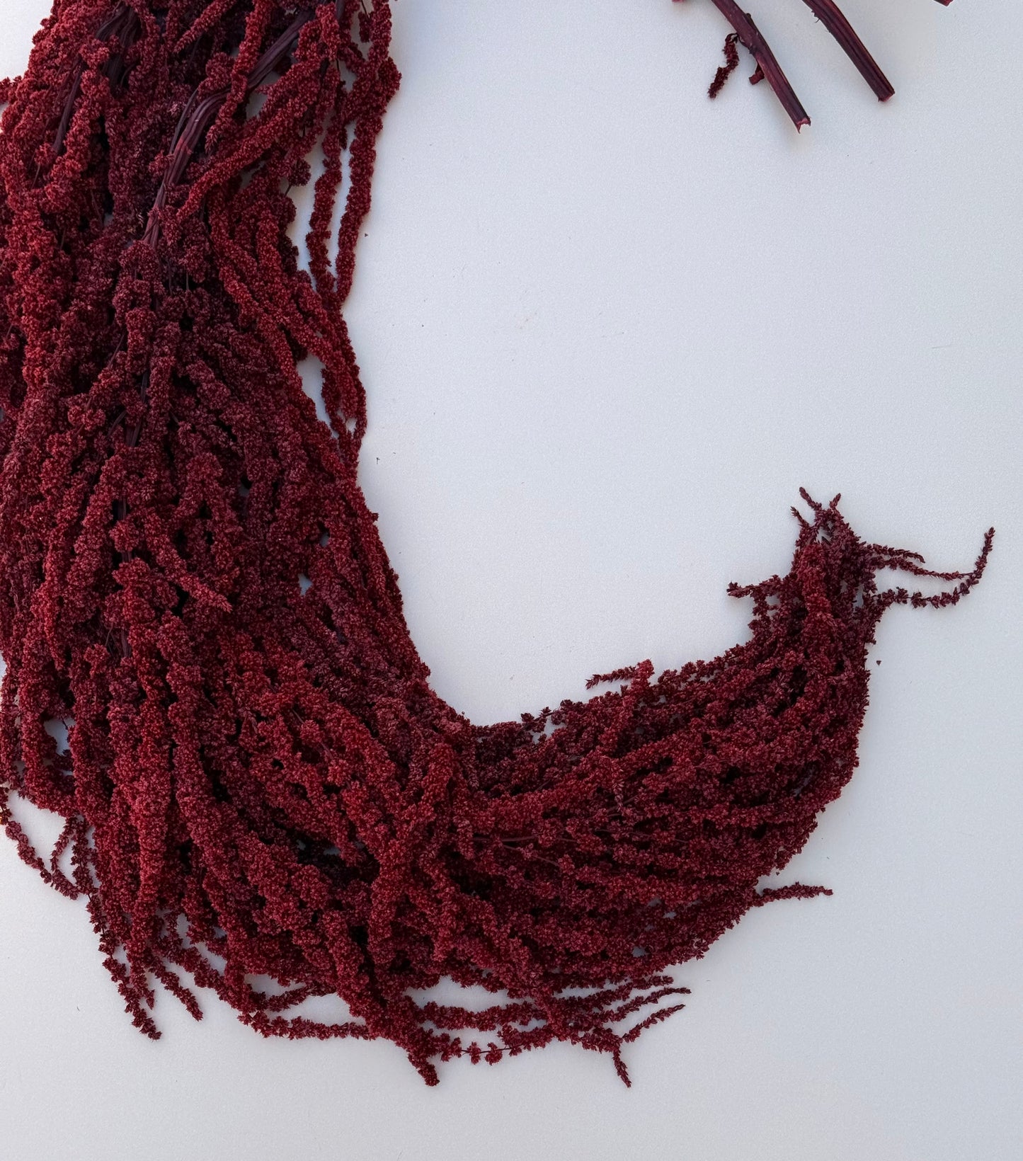 Hanging Amaranthus - Brick/Deep Red