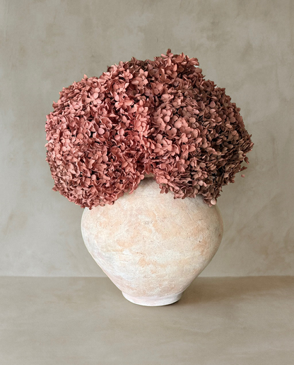 Real Hydrangea Preserved - Large Desert Rose