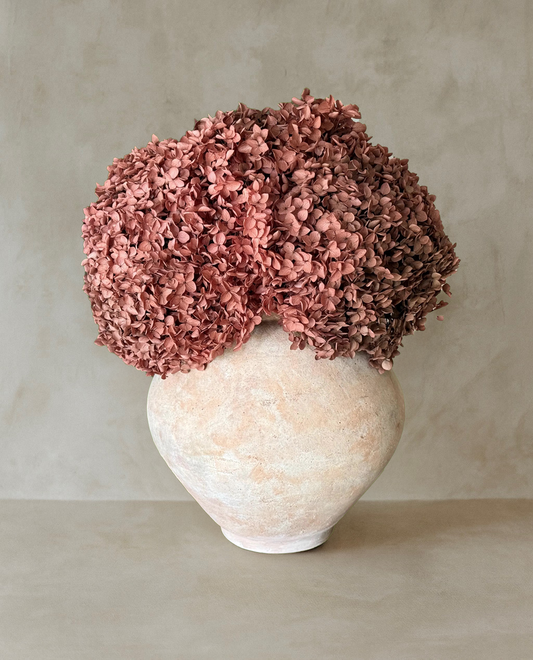 Real Hydrangea Preserved - Large Desert Rose