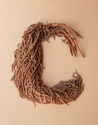 Hanging Amaranthus - Desert Brown