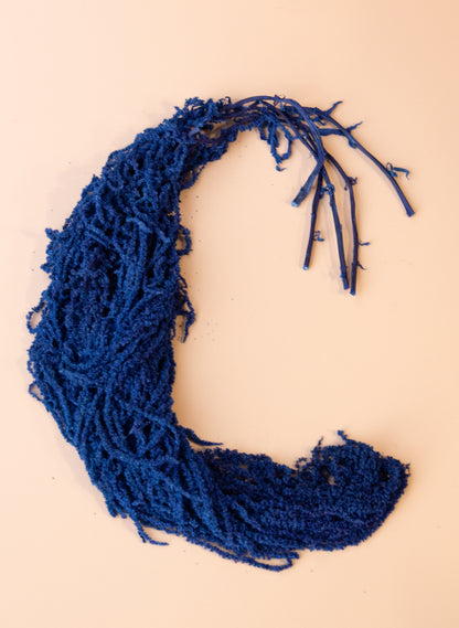 Hanging Amaranthus - Cobalt Blue