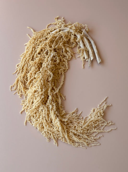 Hanging Amaranthus - Yellow