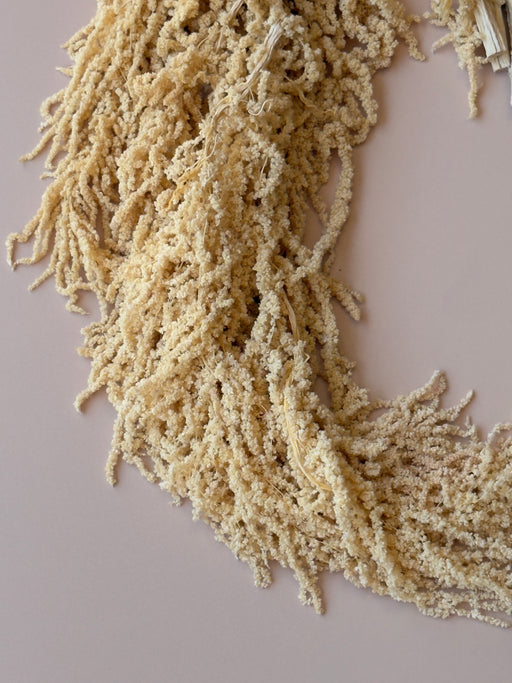 Hanging Amaranthus - Yellow - alternate